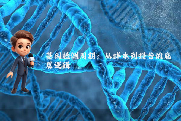 基因检测周期：从样本到报告的底层逻辑